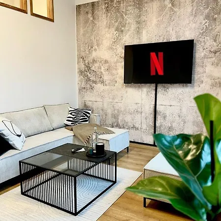 Le Vacation 3-room-city-apartment, Kueche, Neflix, Free Tv *